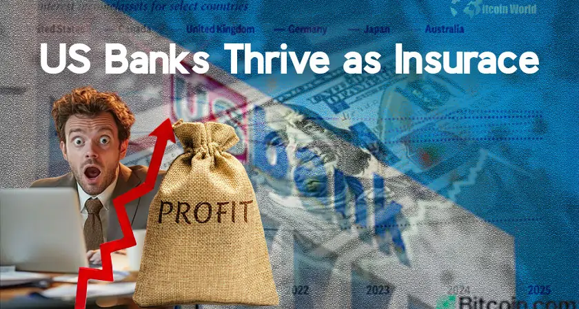 Profit Rises, But Turbulence Looms: US Banks Thrive as Insurance Feels the Strain